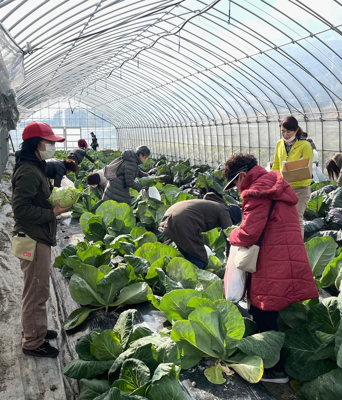 Thumbnail: Katsuragi Foothills Farm