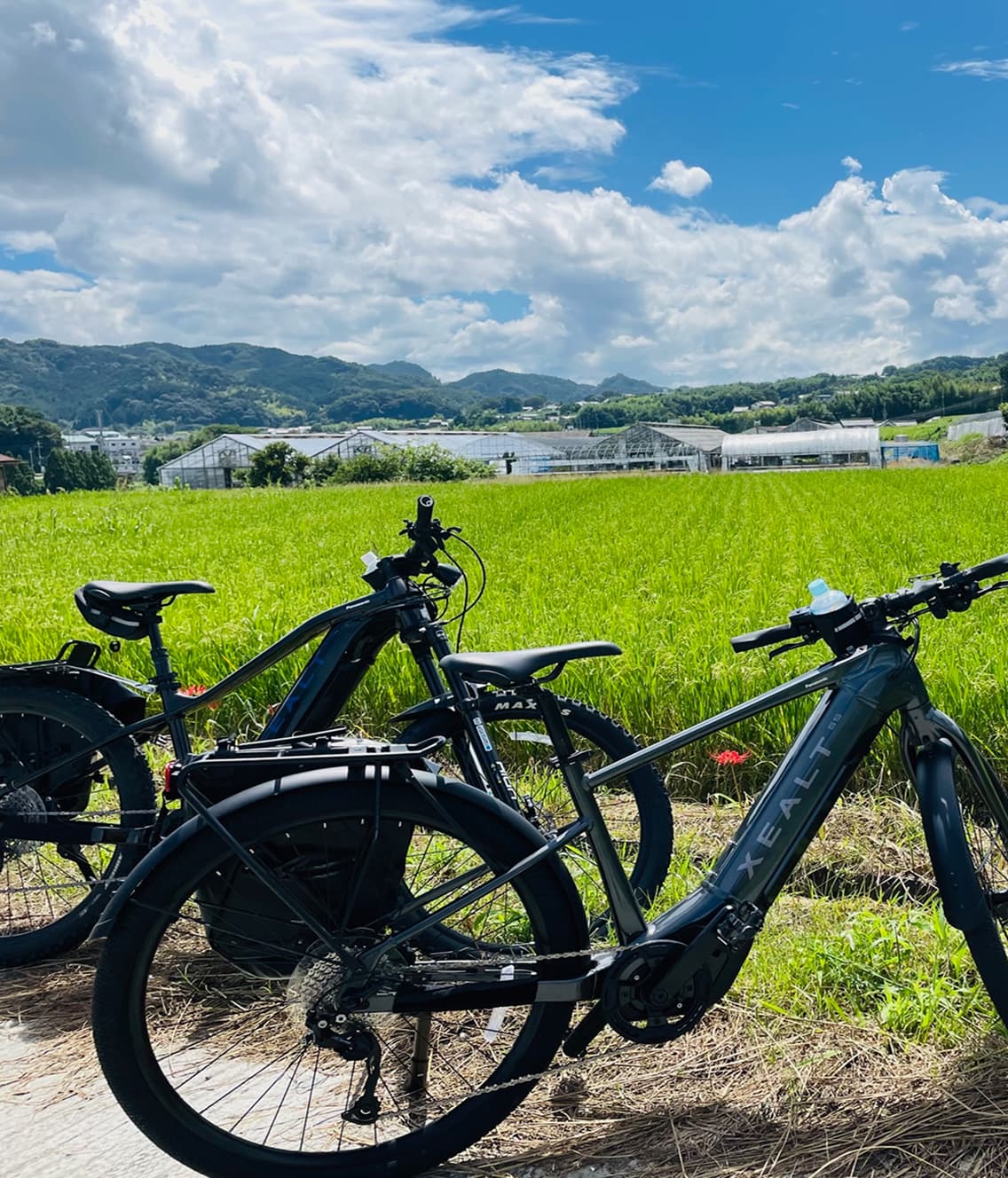 Thumbnail: E-Bike Rental