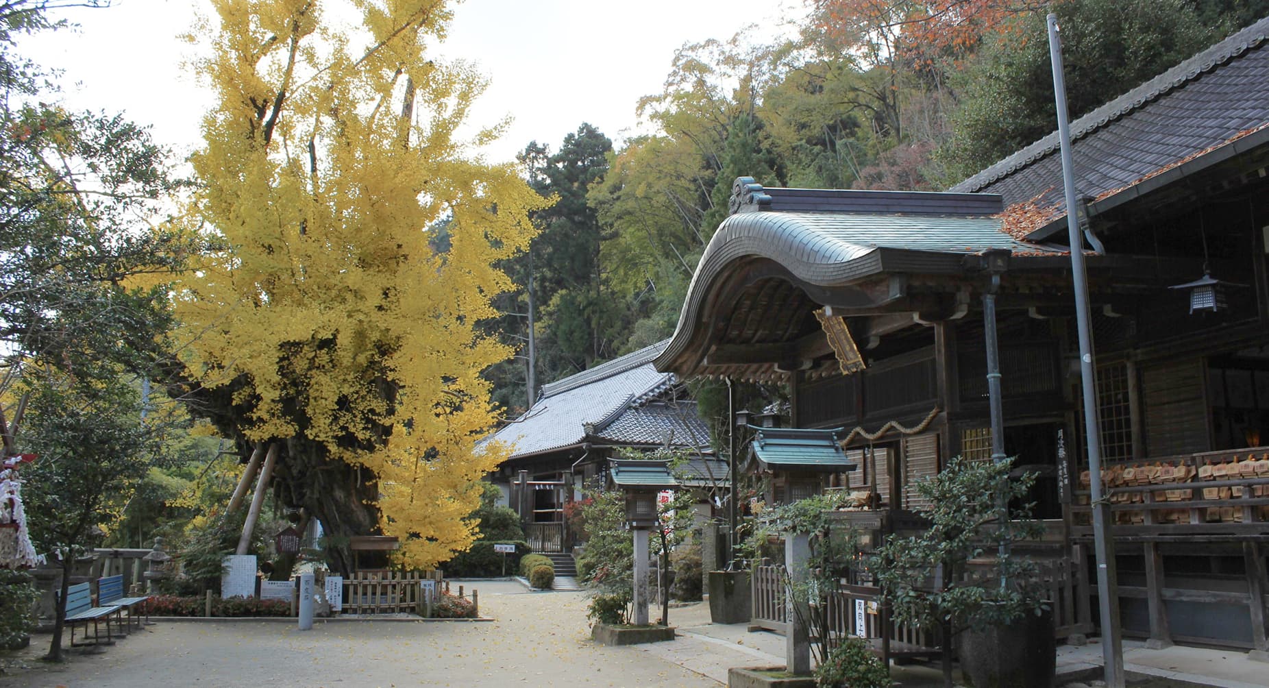 Katsuragi Hitokotonushi Shrine