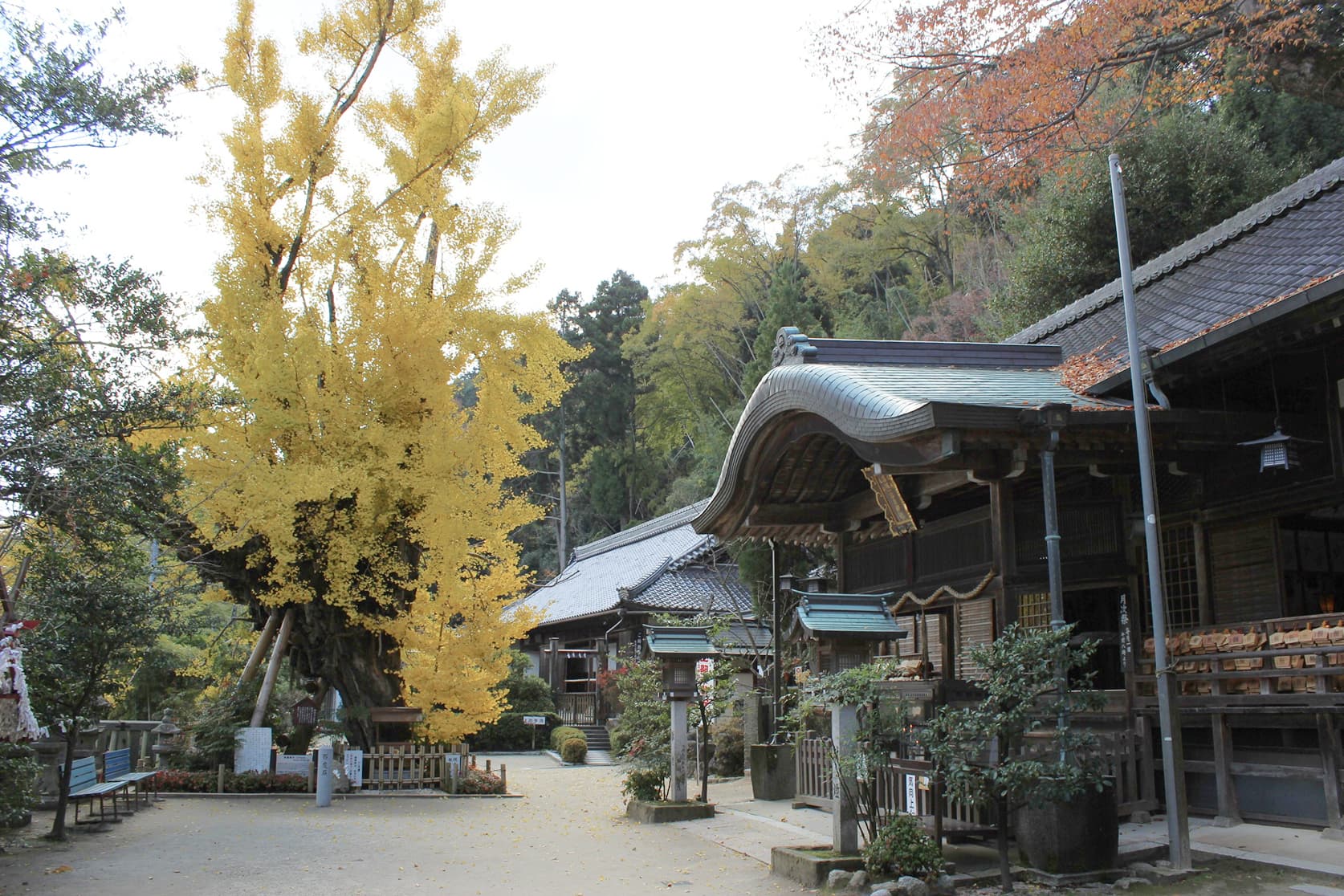Katsuragi Hitokotonushi Shrine